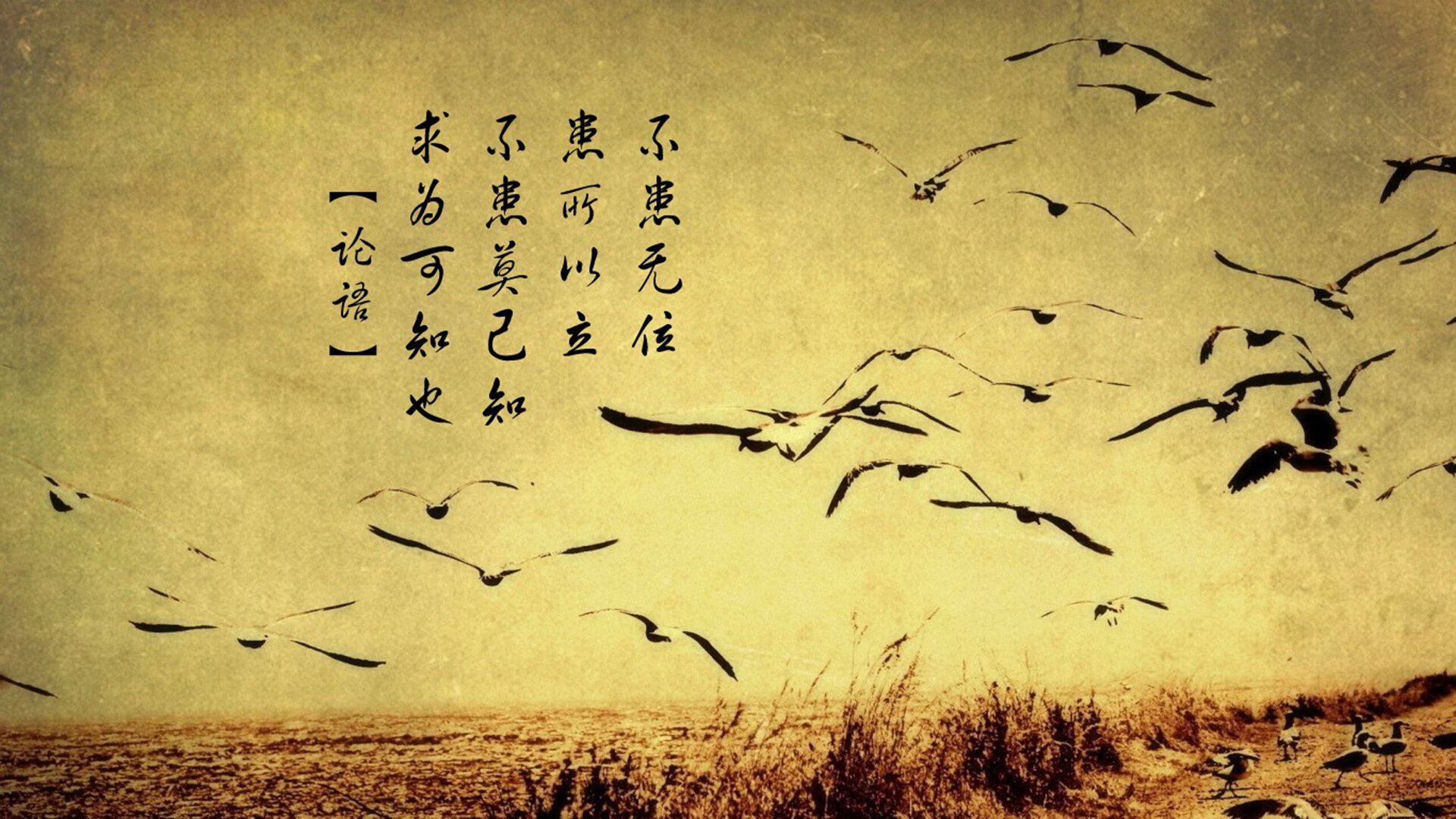 CS2 赛事奖金金额刷新纪录，csgo比赛奖池