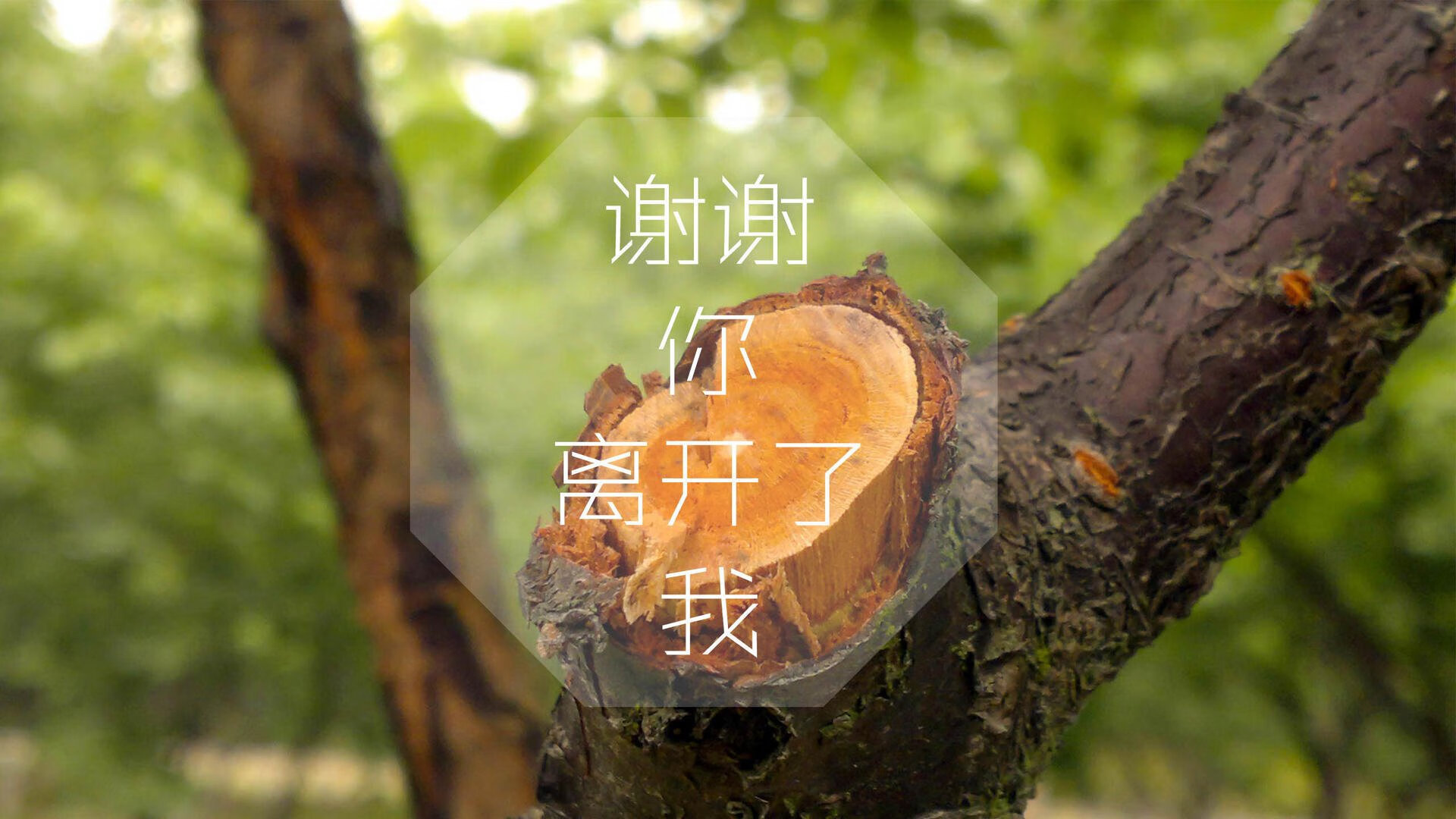 VALORANT 赛事奖金创历史新高，valorant冠军赛