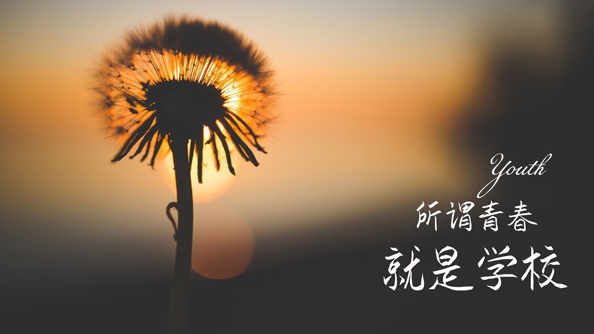 城市夜空跑，灯光点缀的运动盛会，城市夜晚灯光