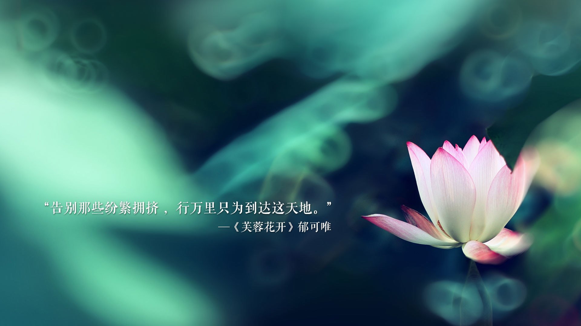 媒体访问限制是否应放宽，媒体访问控制方法是什么意思