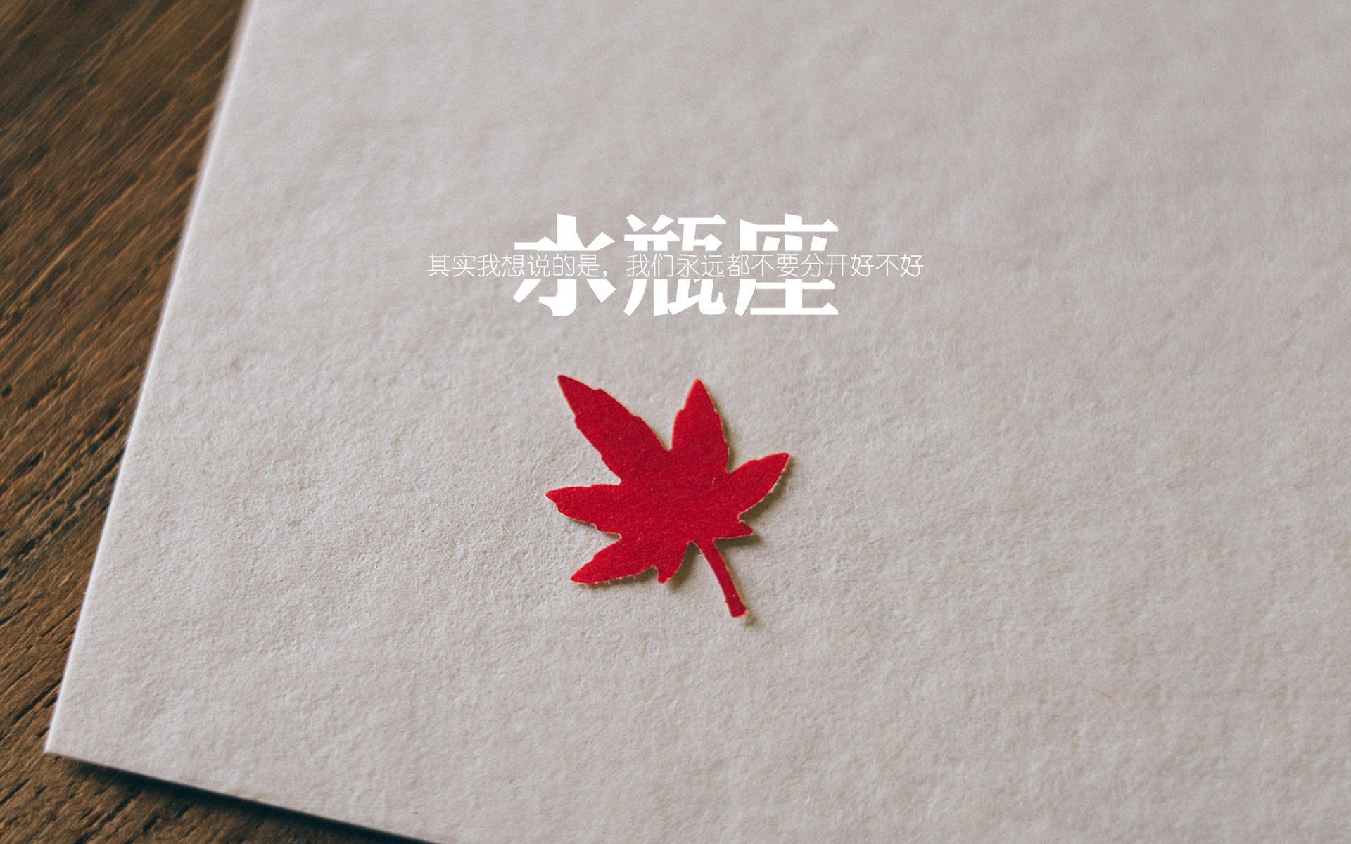 山东高速 新星表现惊艳，山东高速新项目