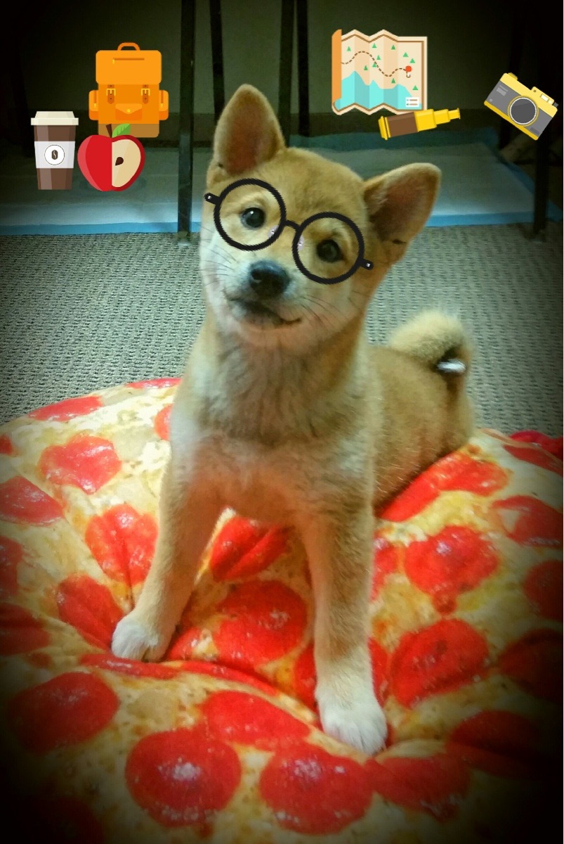 巴萨豪取客场胜利,稳坐积分榜榜首,巴萨2021客场