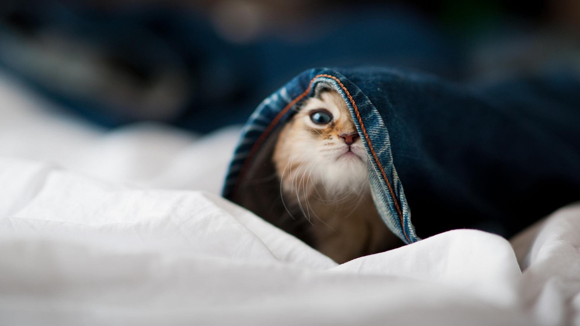 世俱杯网站-中超联赛国家队爆冷 球迷反思防守问题，中超球队减少